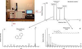 Gc analysis is used to calculate the content of a chemical product, for example in assuring the quality of products in the chemical industry; Gas Chromatography Mass Spectrometry Gc Ms Springerlink