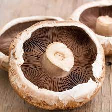 portobello mushroom benefits nutrition