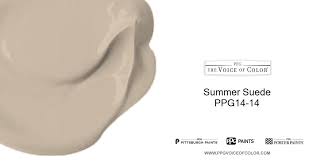 Summer Suede Ppg14 14 Of Color