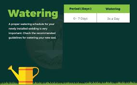 Watering Guide For New Sod Installations My Landscapers