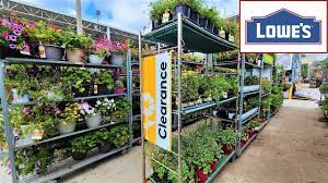 lowes garden center clearance