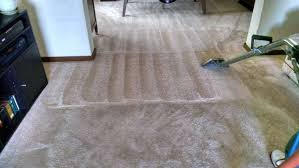 pureshine master cleaning carpet