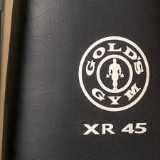 A List Of Workouts On The Golds Gym Xr45 Home Workout