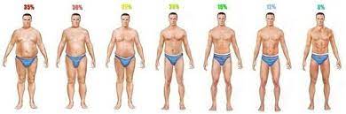 what is the lowest body fat percene