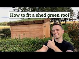 Green Roof To A Garden Shed
