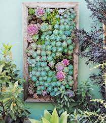 these vertical garden ideas are perfect