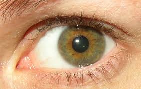 the science of hazel eyes