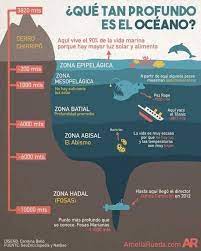 AgroForestales C.A. - Las 5 Capas Del Océano La profundidad de los océanos  varia dependiendo del relieve oceánico. Su profundidad media de 3.730  metros, pero puede alcanzar hasta 11 kilómetros de profundidad