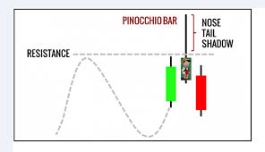 Pin Bar Strategy Setup Trading Rules Chart System Nta