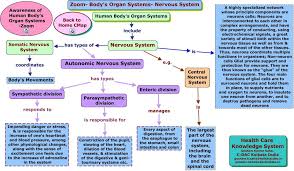 Physiological Flow Charts Mind Maps Groovy Human Body