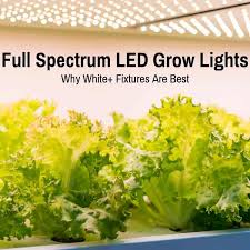 Full Spectrum Led Grow Lights Why White Fixtures Are Best Grow Light Info