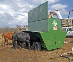 beef cattle supplement delivery systems