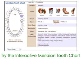 Meridian Tooth Chart Noelck Associates Dentistry