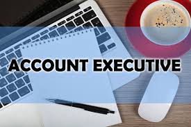  account executive: study in netherlands