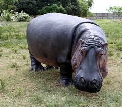Hippopotamus Sculpture Sculptures In