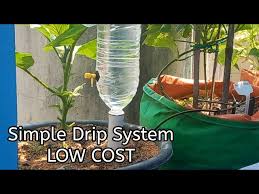 diy plastic bottle drip irrigation