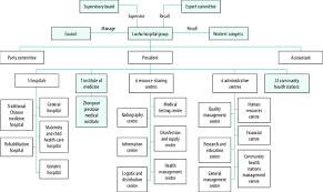 Organizational Structure Of The Luohu Hospital Group