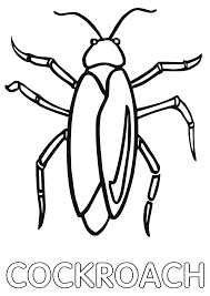 Bug alphabet see if you can think of and write down the name of a bug (insect, spider, or other creepy crawler) that starts with each letter of the alphabet. Cockroach Coloring Pages Coloring Pages To Download And Print Coloring Home