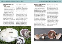 Mushrooms Of The Northeastern United States And Eastern