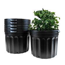 plastic nursery gardening trade pots