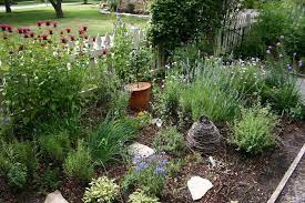 making a front yard herb garden