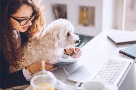 Maybe you would like to learn more about one of these? Metlife Enters Pet Insurance Market With Acquisition Insurance Business