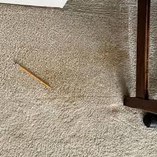 carmel indiana carpet cleaning