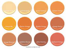 The Best Orange Paint Colors Orange