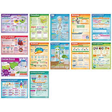 Biology Posters Set Of 13 Science Posters Laminated Gloss Paper Measuring 33 X 23 5 Stem Charts For The Classroom Education Charts By