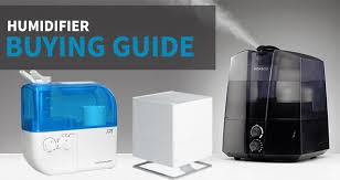 Humidifier Buying Guide Sylvane