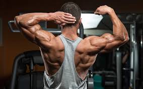 150 muscle building tips muscle