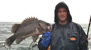 Rockfish Alaska Fishing Alaska Outdoors Supersite
