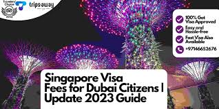 singapore visa fees for dubai citizens