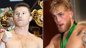 On may 5, 2012, canelo defended his belt for the fourth time and faced future hall of. Canelo Alvarez Fight Crashed By Jake Paul Goons Watch Heavy Com