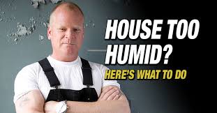House Too Humid Here Is What To Do
