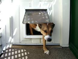 Image result for doggy door