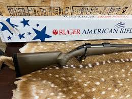 ruger american 270 winchester 22
