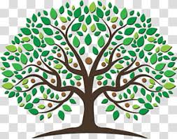 family tree transpa background png