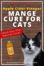 Here are 20 uses for apple cider vinegar (acv) that will inspire you to incorporate it into your daily routine too. Apple Cider Vinegar For Mange Cat Cure All Natural Home