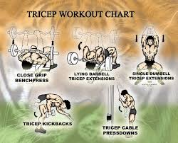 Tricep Workout Chart For Gym Weighteasyloss Com Fitness