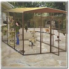 When you do that, for sure they'll be exposed when looking for cat enclosures for sale, there are a couple of things you need to take into account. Outdoor Cat Enclosures For Sale Ideas On Foter