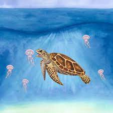 Big Sea Turtle Jellyfish Loggerhead