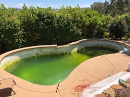Dazu ist eine regelmäßige poolpflege mithilfe von chemischen und manuellen mitteln vonnöten. Vitamin C Gegen Algen Im Pool Keine Gute Option