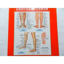 Foot And Lower Leg Map For Acupuncture Meridans And Massage