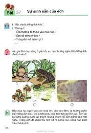 SGK Khoa Học 5 - Bài 57. Sự sinh sản của ếch