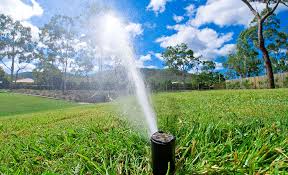 Best Irrigation Pumps For Your Yard