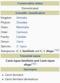 The Domestic Dog Canis Lupus Familiaris Is A Form Of The
