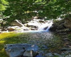 오대산 소금강 계곡 풍경, AI로 생성