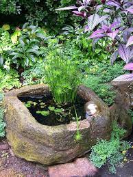 Water Garden In A Trough Container