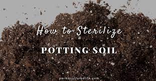 How To Sterilize Potting Soil At Home